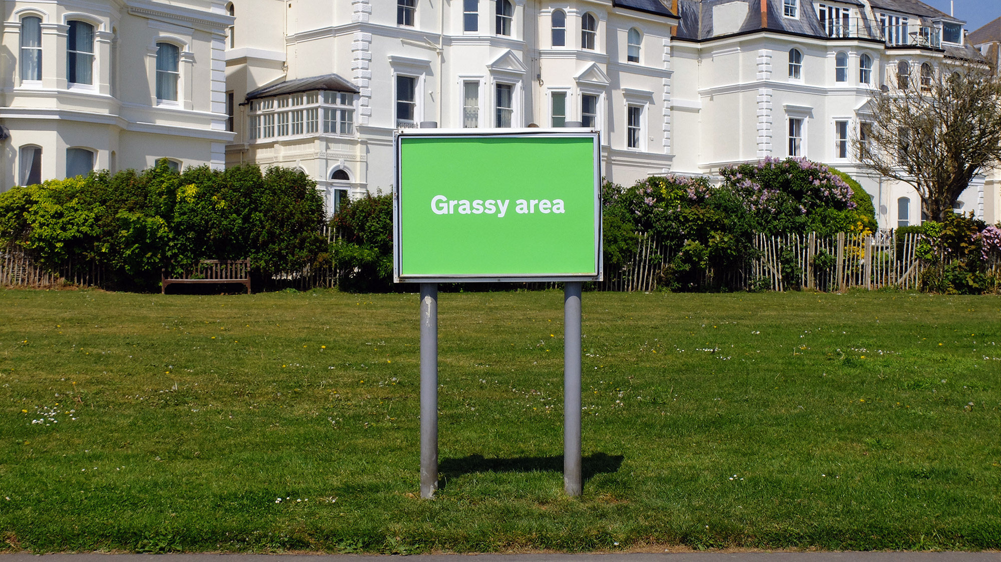 #018 - Grassy area